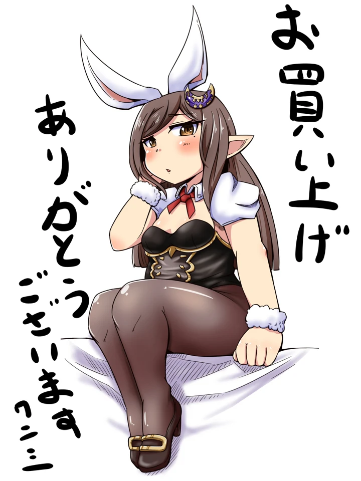 （同人誌）　［ワニ屋　（ワニ三）］　占い結果の回避方　（グランブルーファンタジー） 24ページ