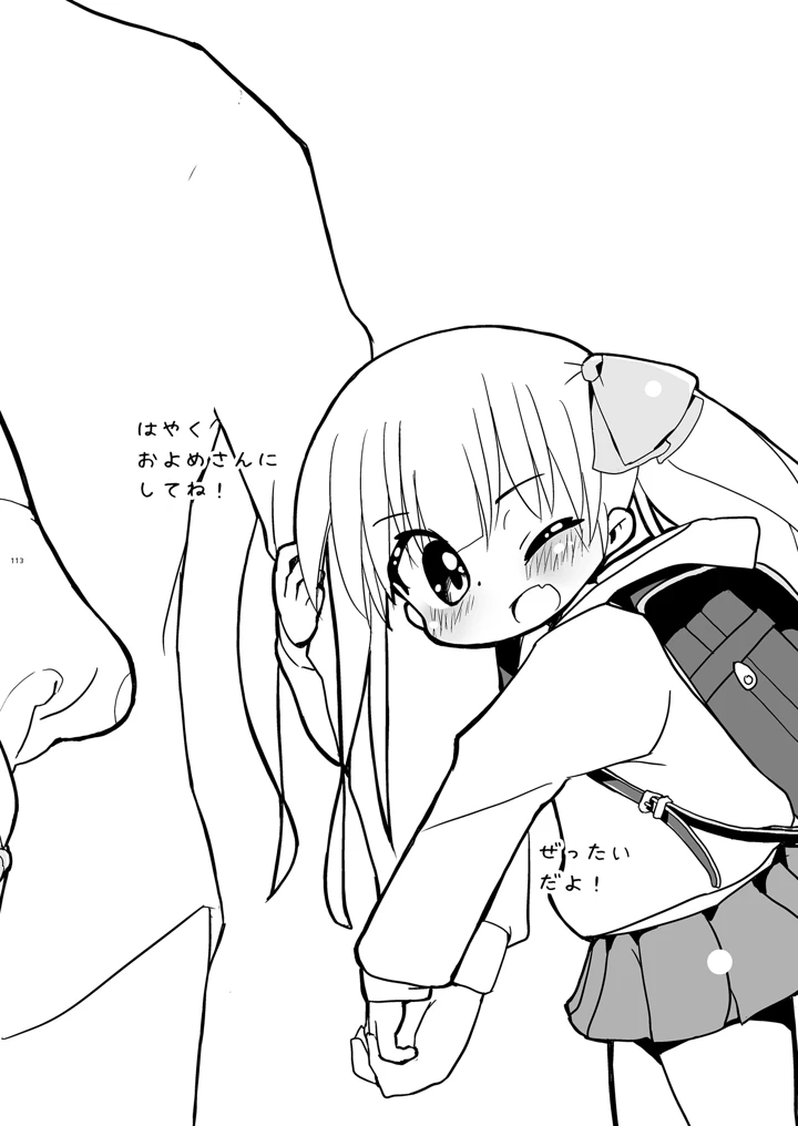 113ページ目