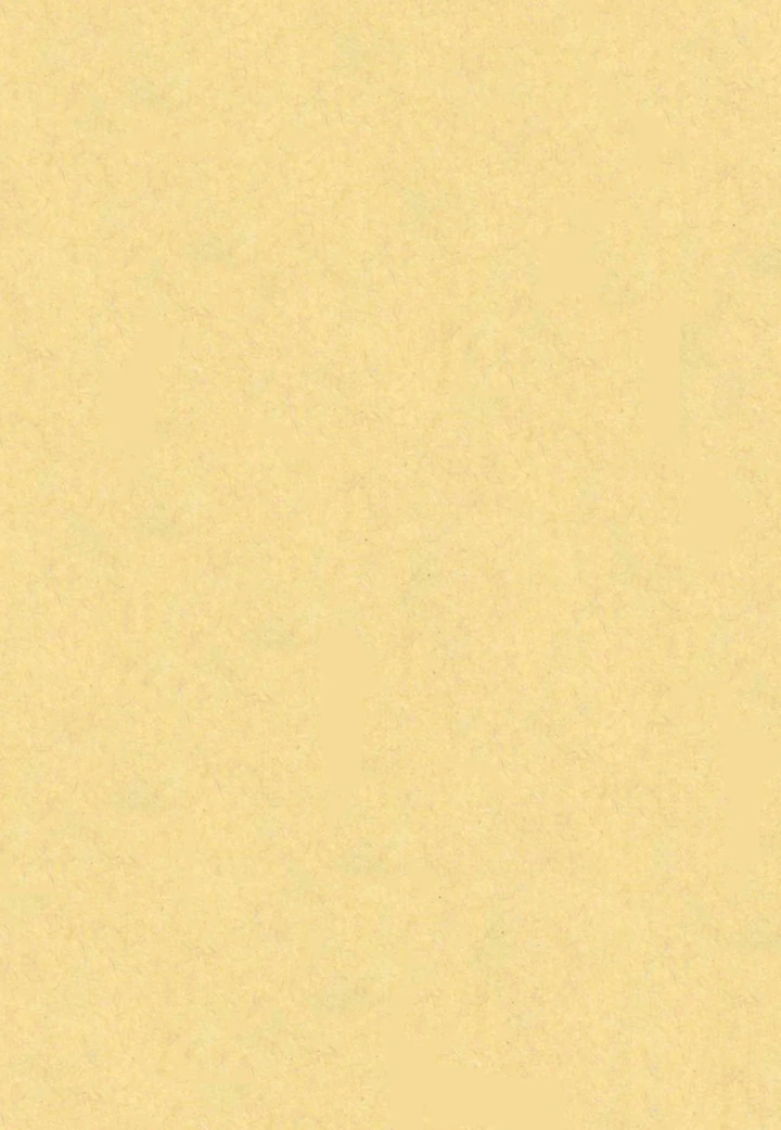 2ページ目