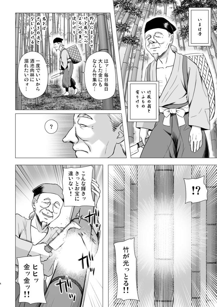 （C108）　［ノラネコノタマ　（雪野みなと）］　なよ竹かぐやのひめごと　（オリジナル）　［DL版］ 3ページ
