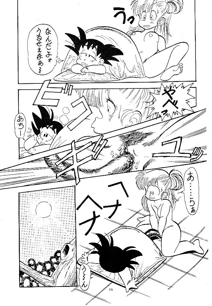 29ページ目