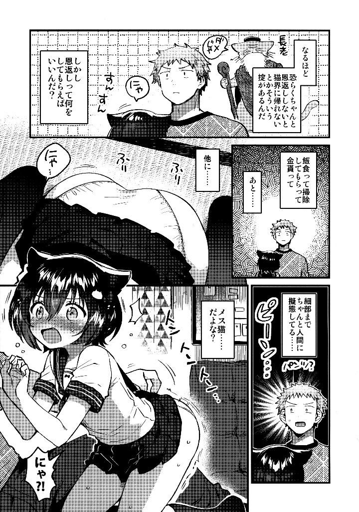 （同人誌）　（C106）　［squeezecandyheaven　（いちはや）］　恩返し交尾に来たねこです 8ページ
