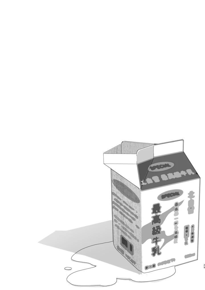 29ページ目