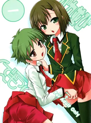 （C75）　［んでもって　（200Xず～む、KOIZUMI）］　バカ並び　（バカとテストと召喚獣）