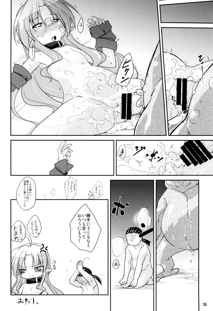 36ページ目