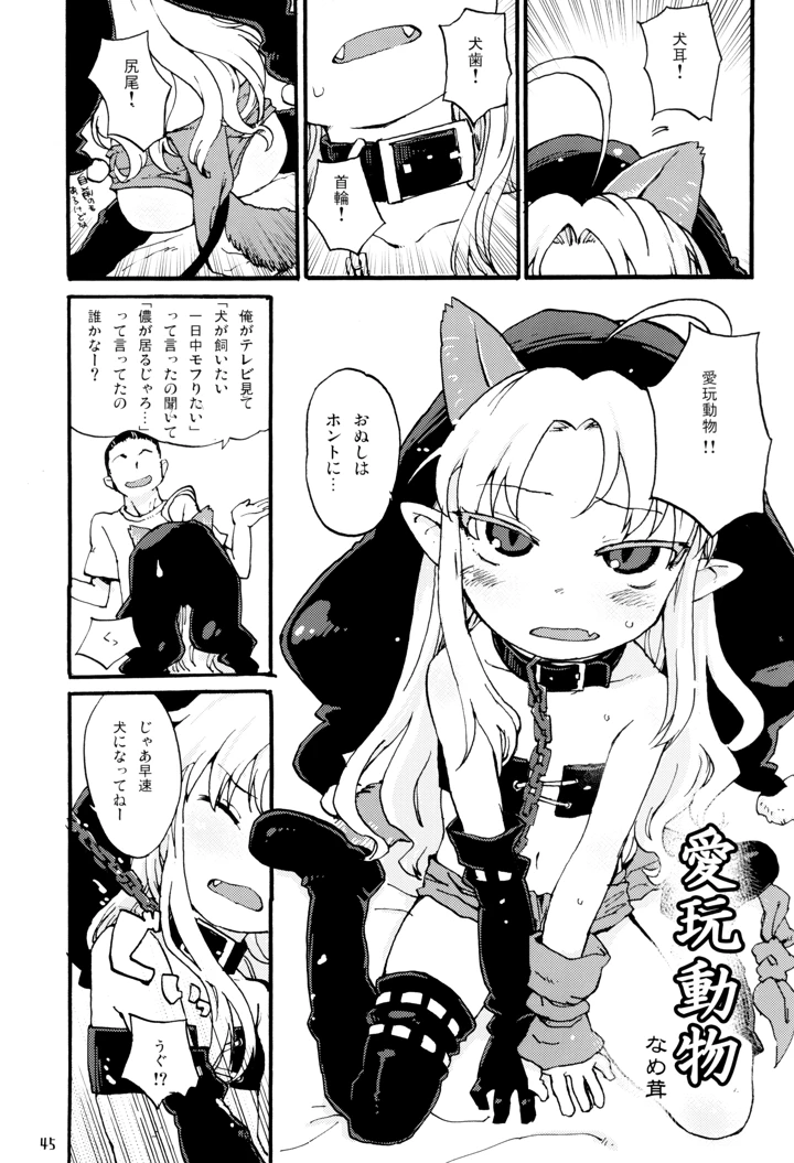 45ページ目