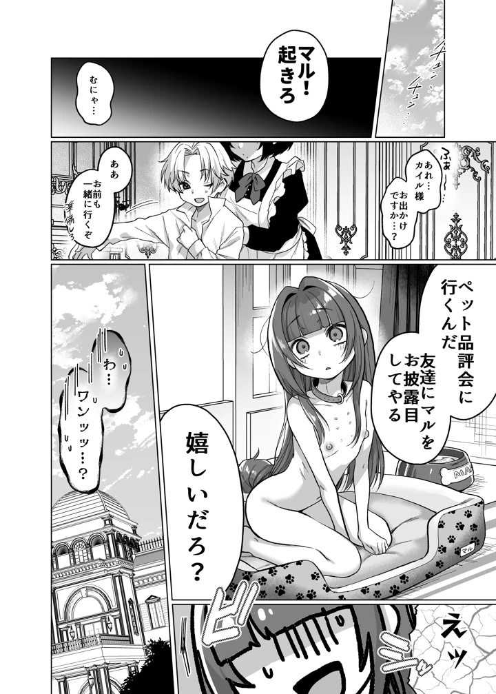 26ページ目
