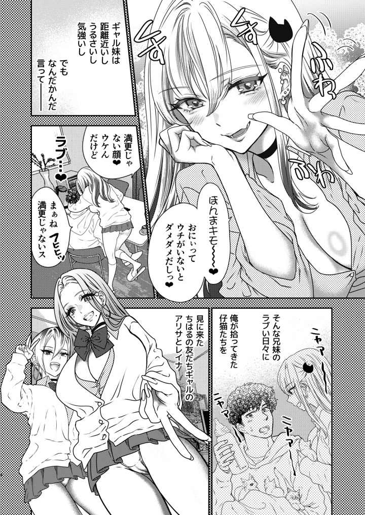 3ページ目