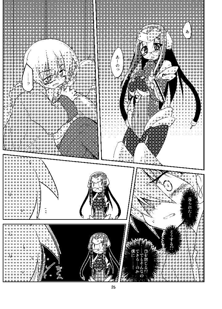 25ページ目