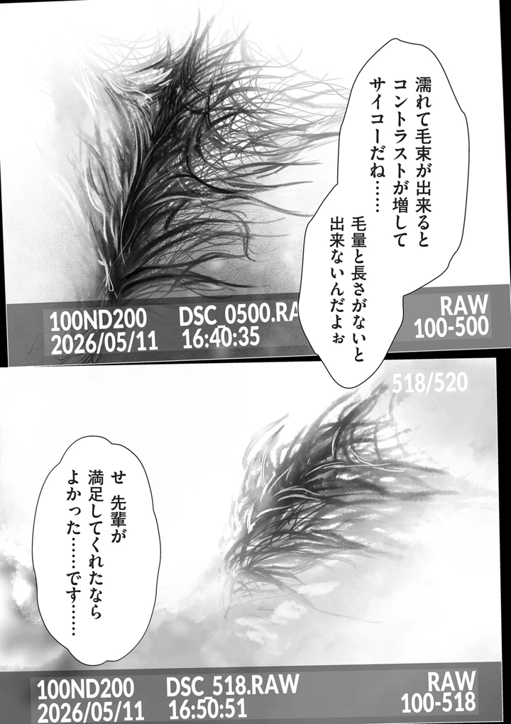 241ページ目