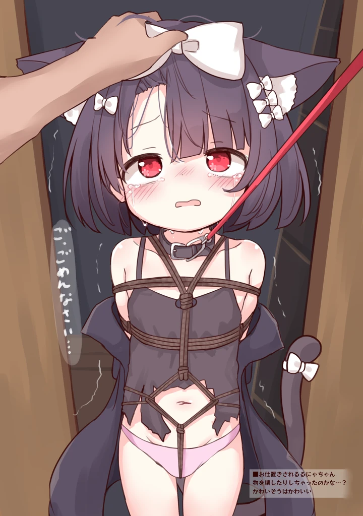11ページ目