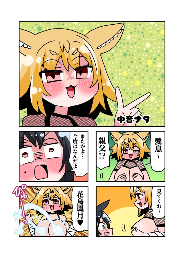 3ページ目