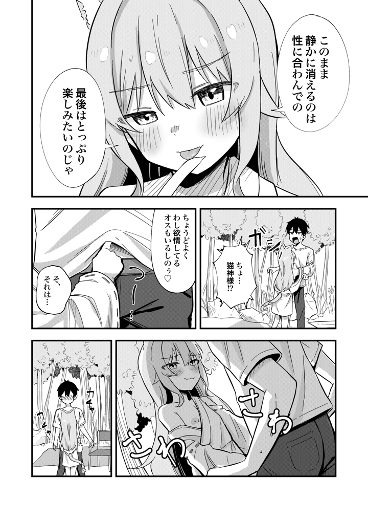 17ページ目