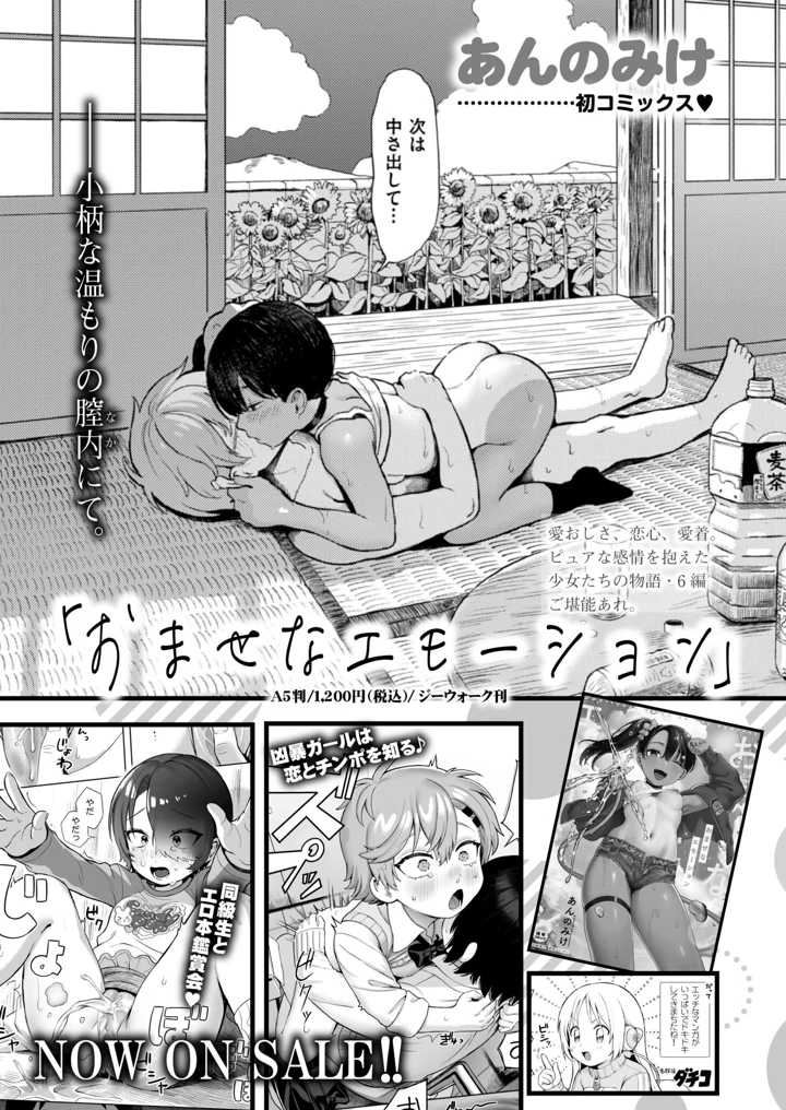 12ページ目