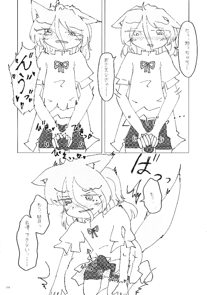 219ページ目