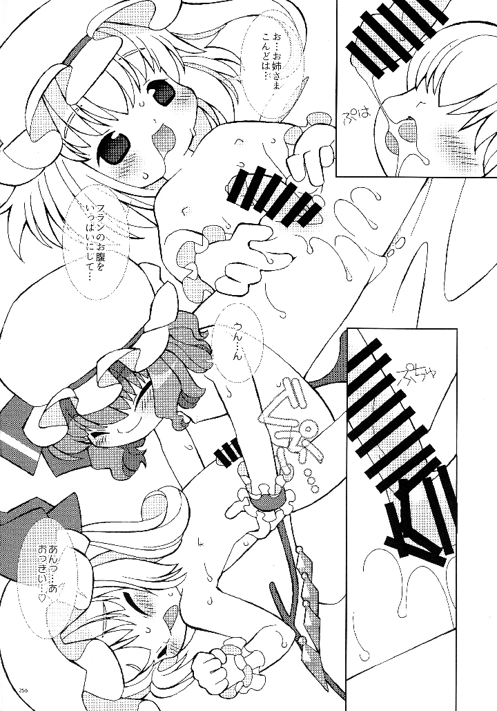 253ページ目