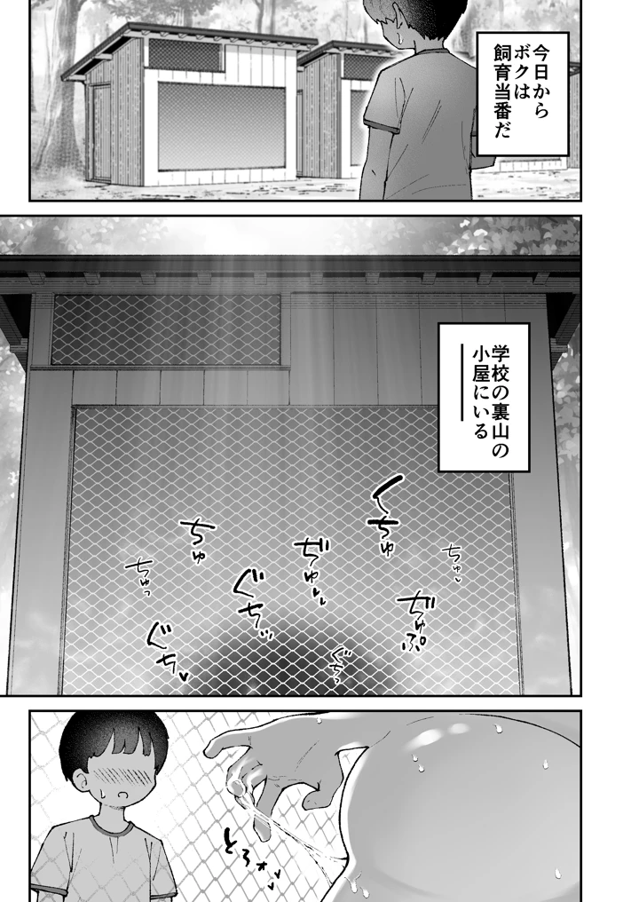 3ページ目