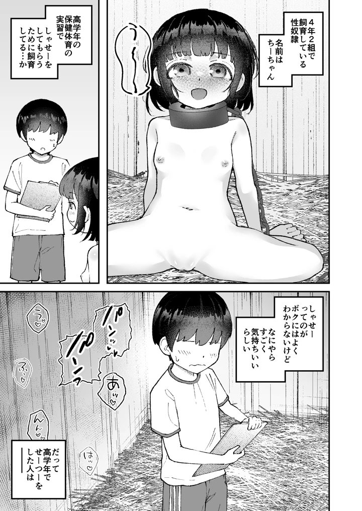 5ページ目
