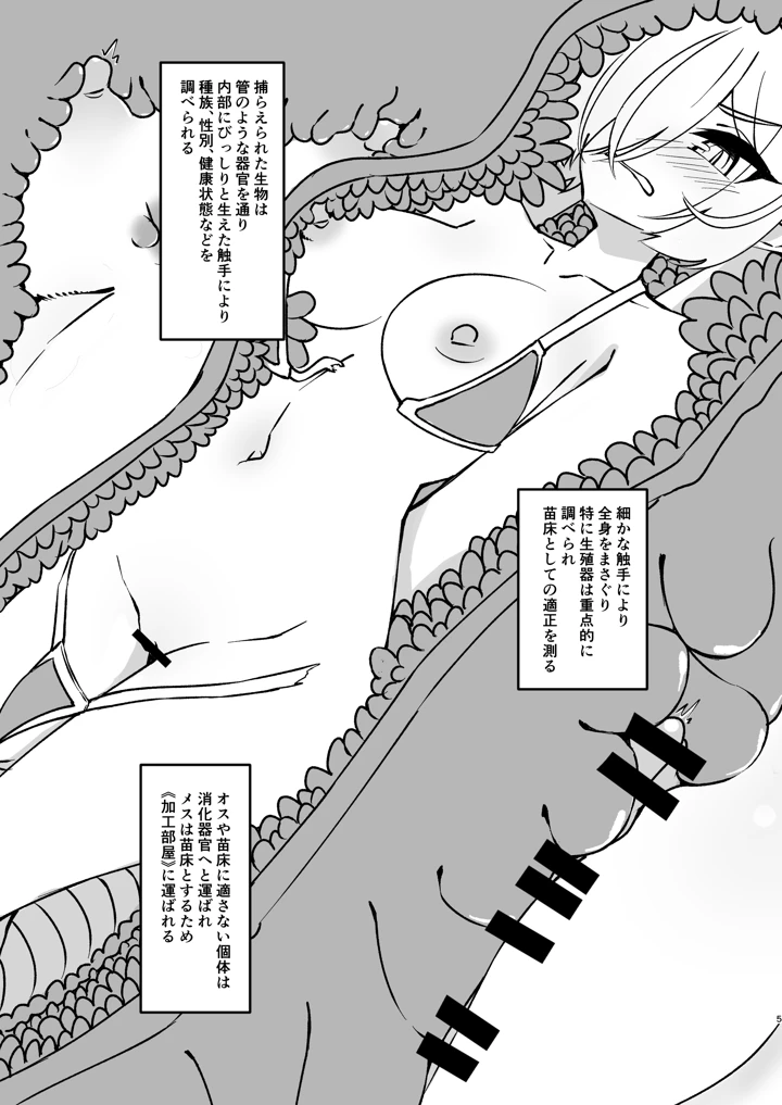 5ページ目