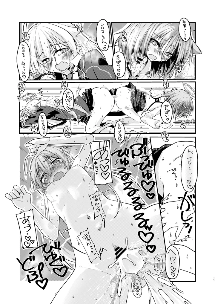 11ページ目