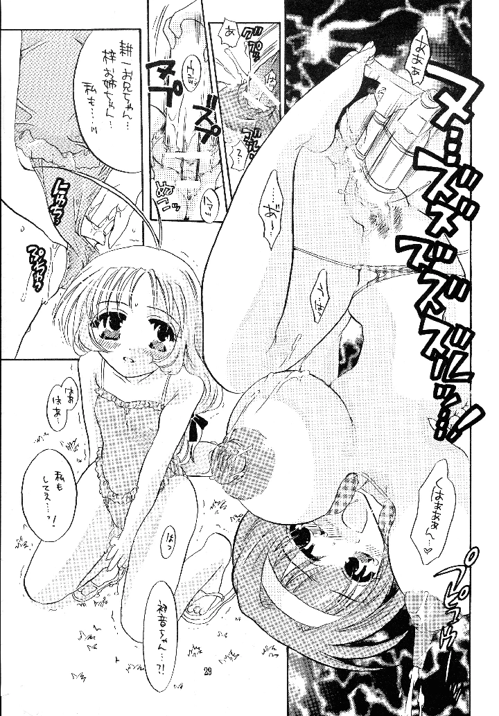 28ページ目