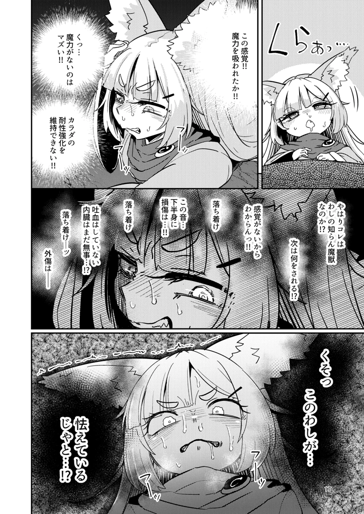 17ページ目