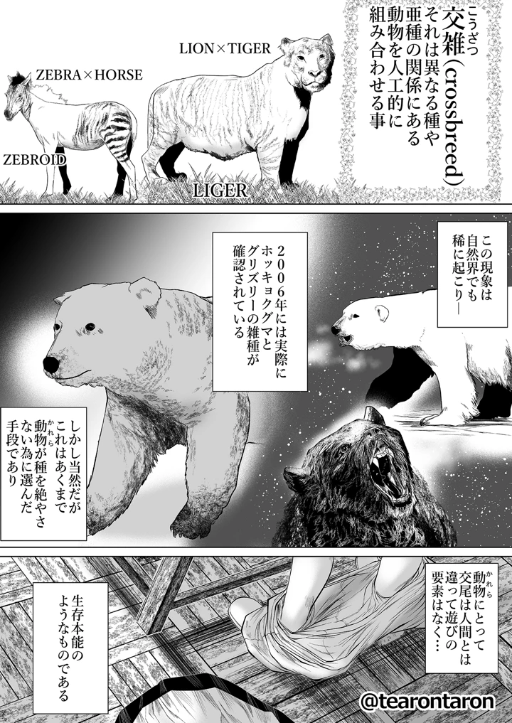 32ページ目