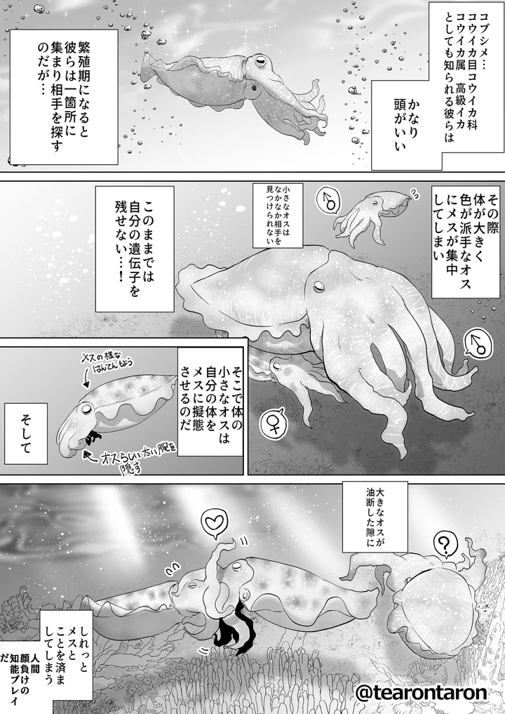 29ページ目