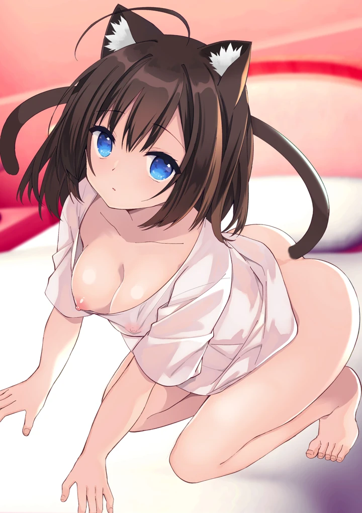 2ページ目