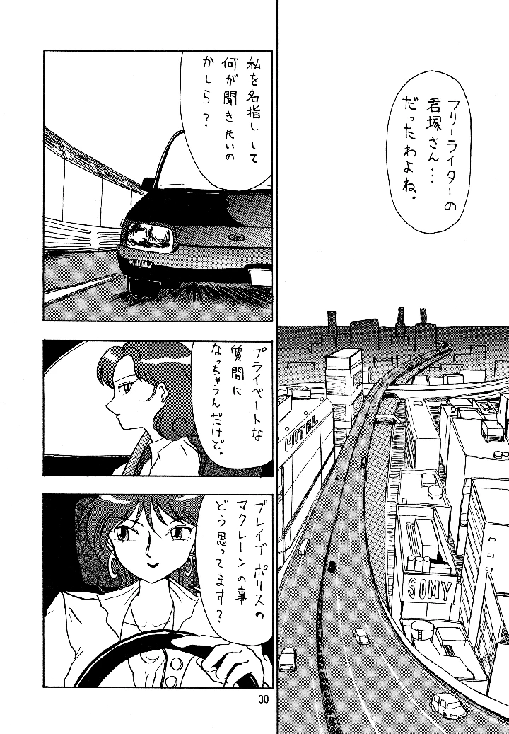 29ページ目