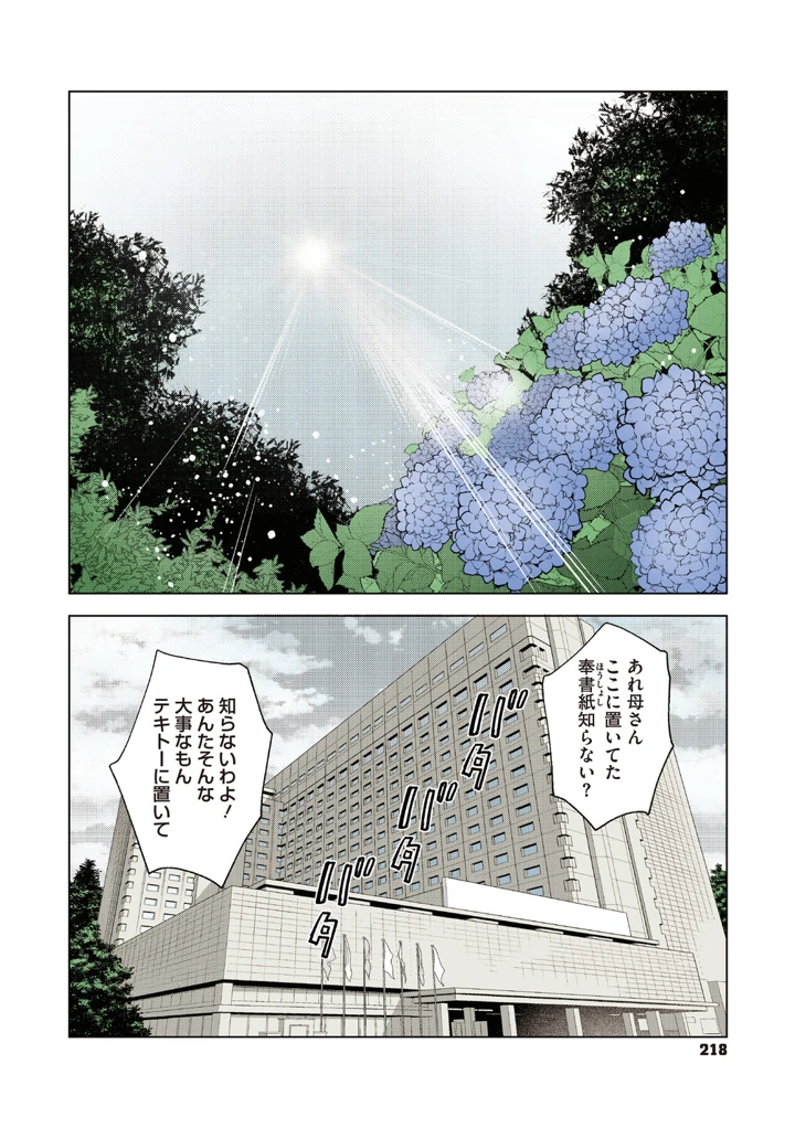 217ページ目