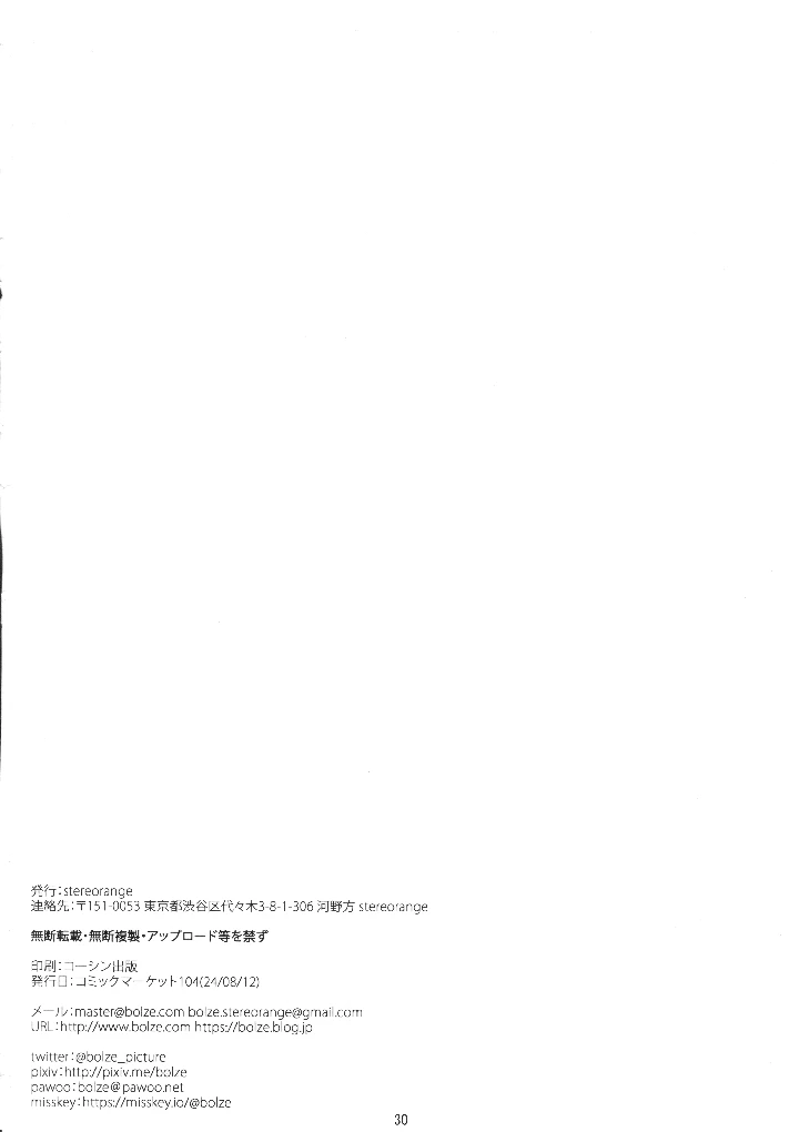 29ページ目
