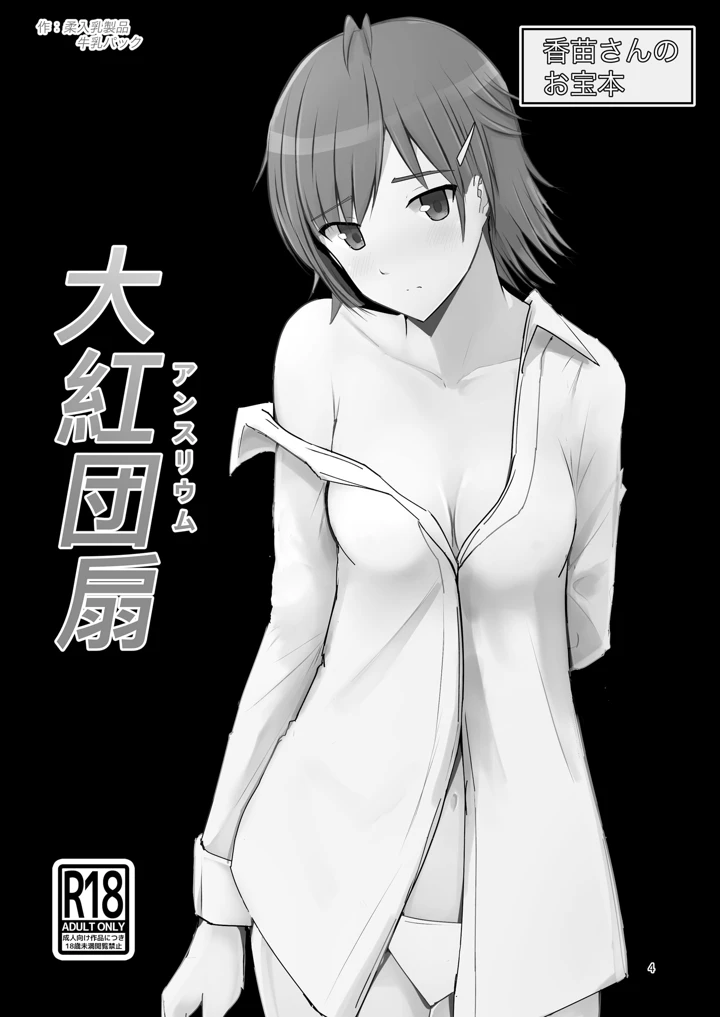 3ページ目