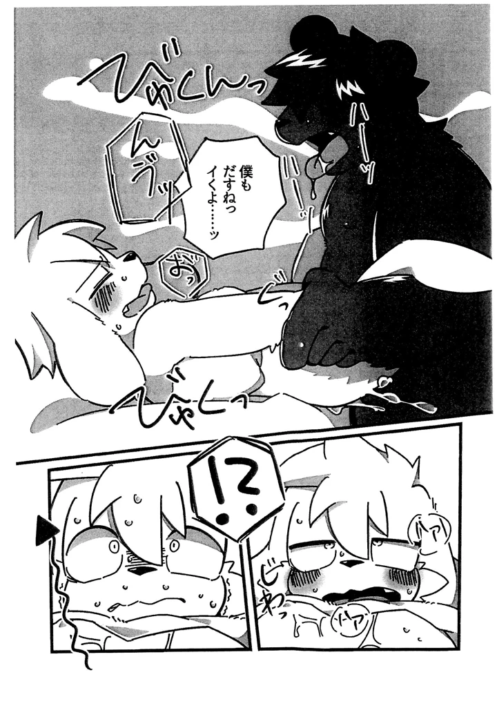 12ページ目