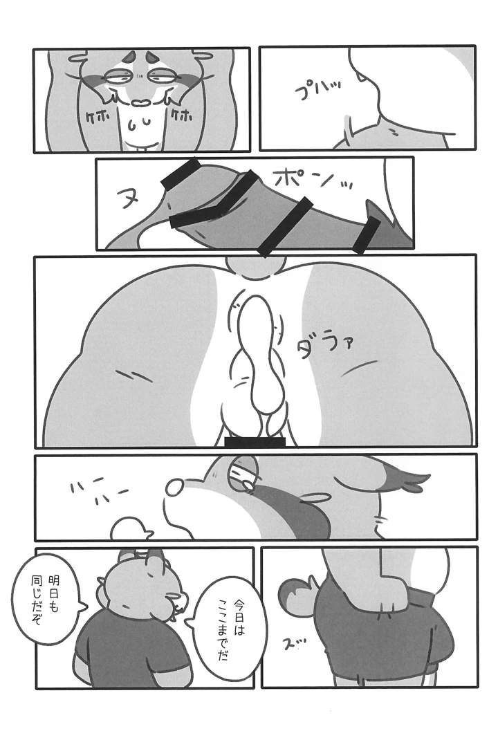 17ページ目