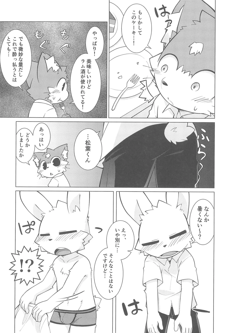 15ページ目