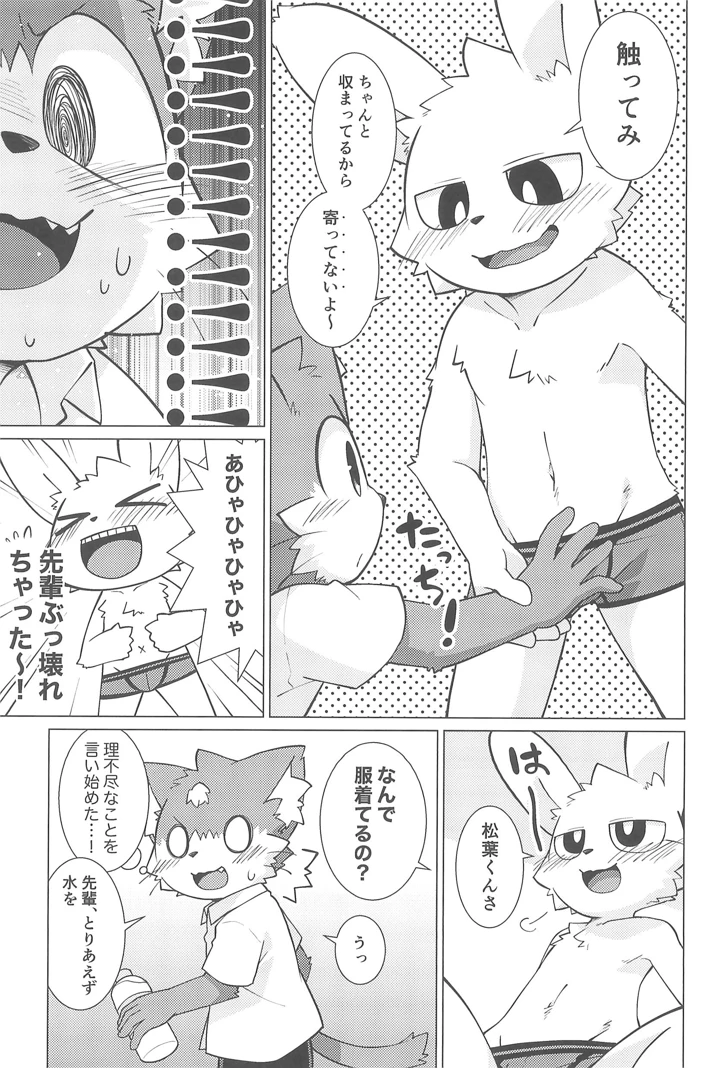 17ページ目
