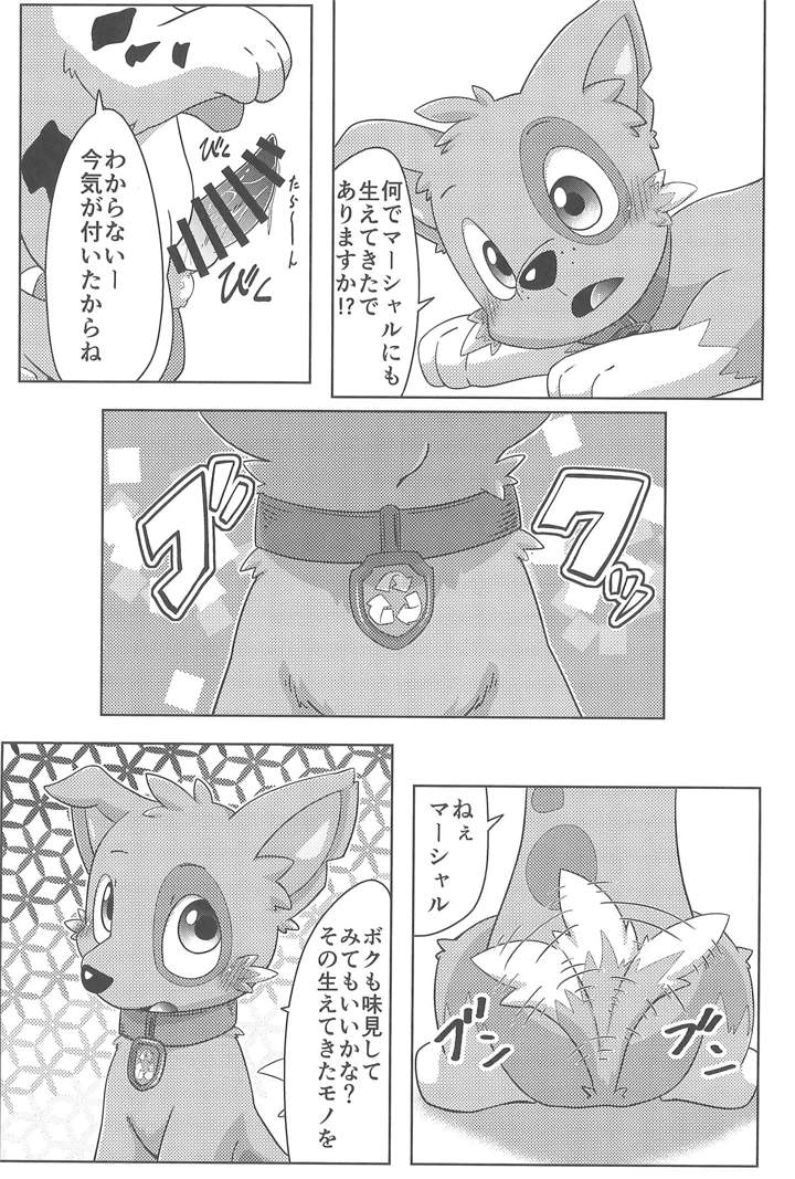 15ページ目