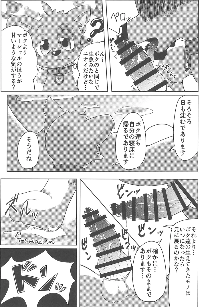 19ページ目