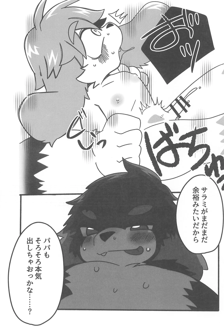 17ページ目