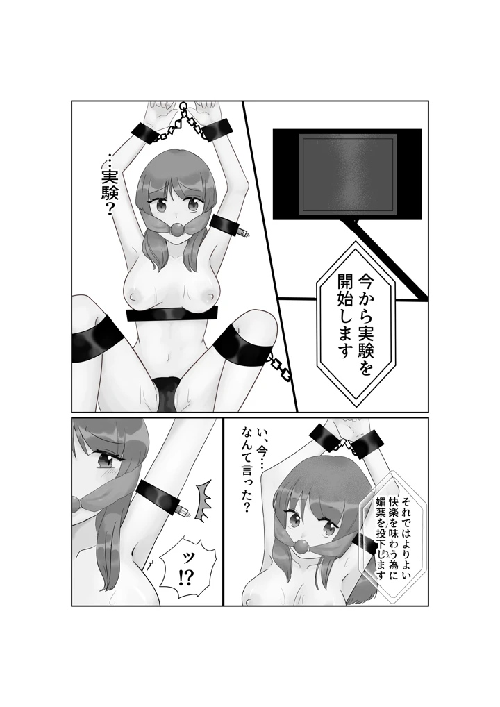 17ページ目