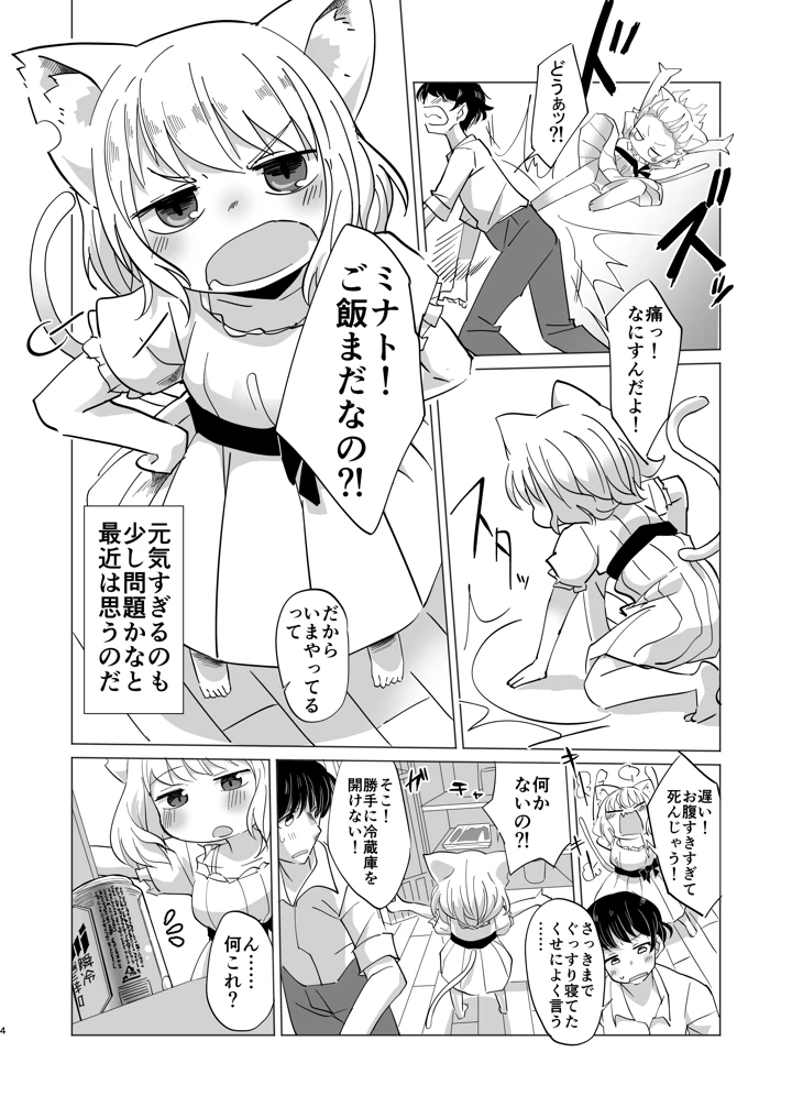 3ページ目