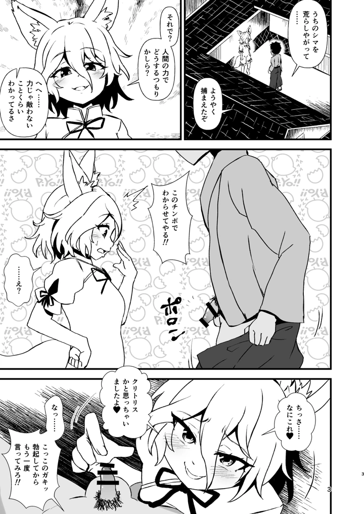 3ページ目