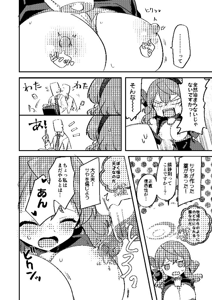 13ページ目
