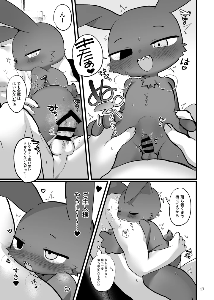 17ページ目