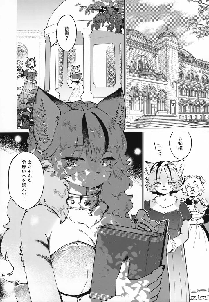5ページ目